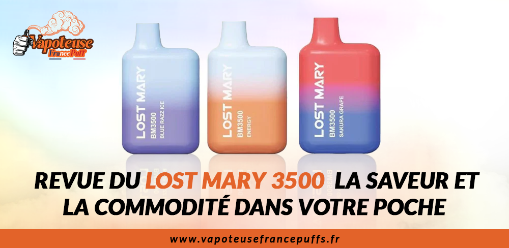 elfbar nachfüll pod läuft aus Revue du Lost Mary 3500 : La saveur et la commodité dans votre poche