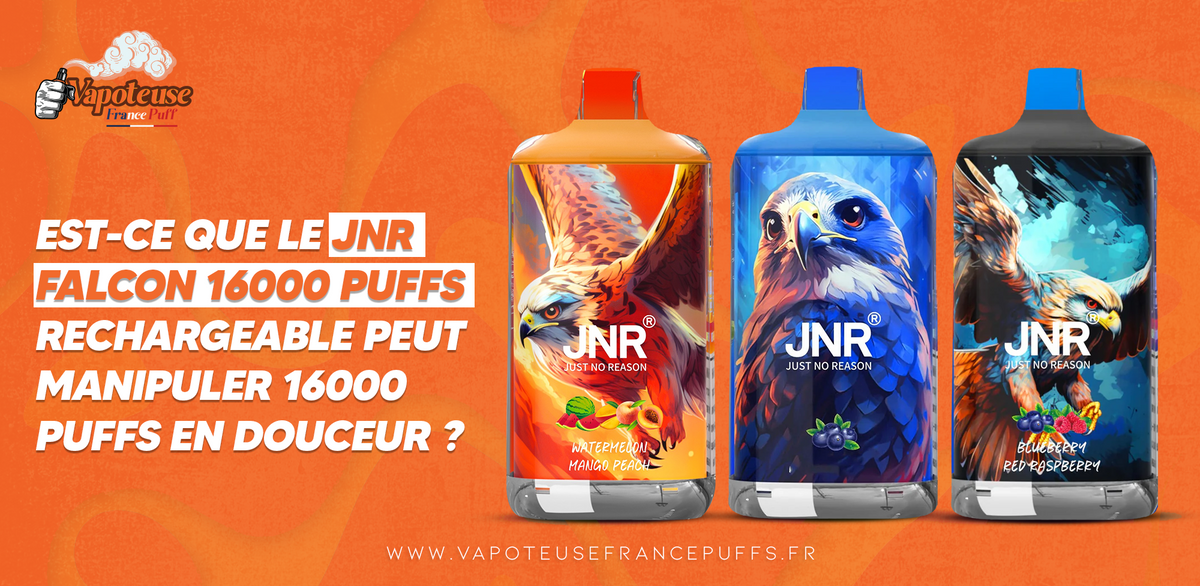 jnr vape 16000 puffs Vape Rechargeable Type-C - JNR Falcon - 16000 puffs 0% Nicotine main image 0