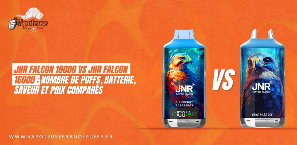 JNR Falcon 18000 vs JNR Falcon 16000 : nombre de puffs, batterie, save JNR Falcon 18000 vs JNR Falcon 16000 : nombre de puffs, batterie, save