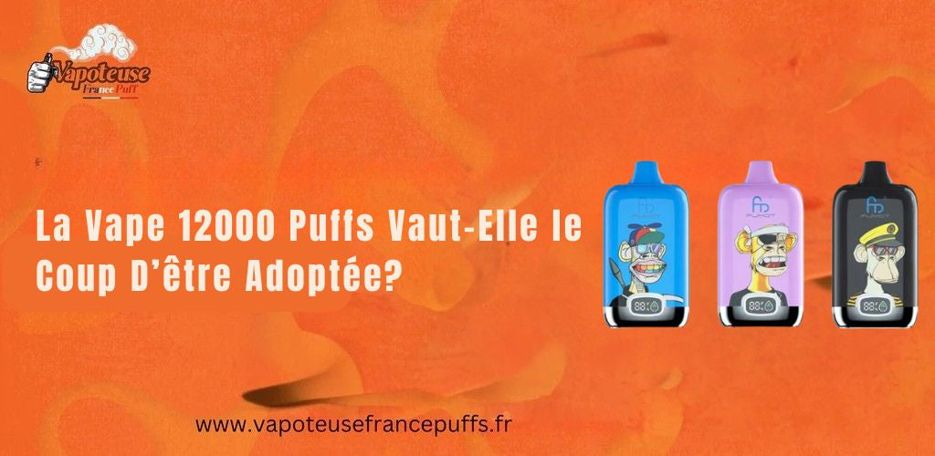 Is een Vape 12000 Puffs echt de Moeite om Naar over te Schakelen?