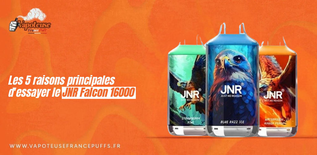 Les 5 raisons principales d'essayer le JNR Falcon 16000