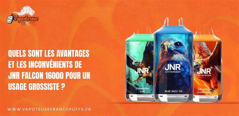 Quels sont les avantages et les inconvénients de JNR Falcon 16000 pour un usage grossiste ?