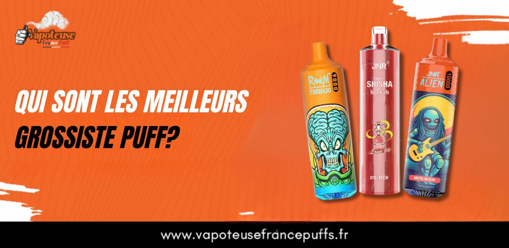 Qui sont les meilleurs grossiste puff?