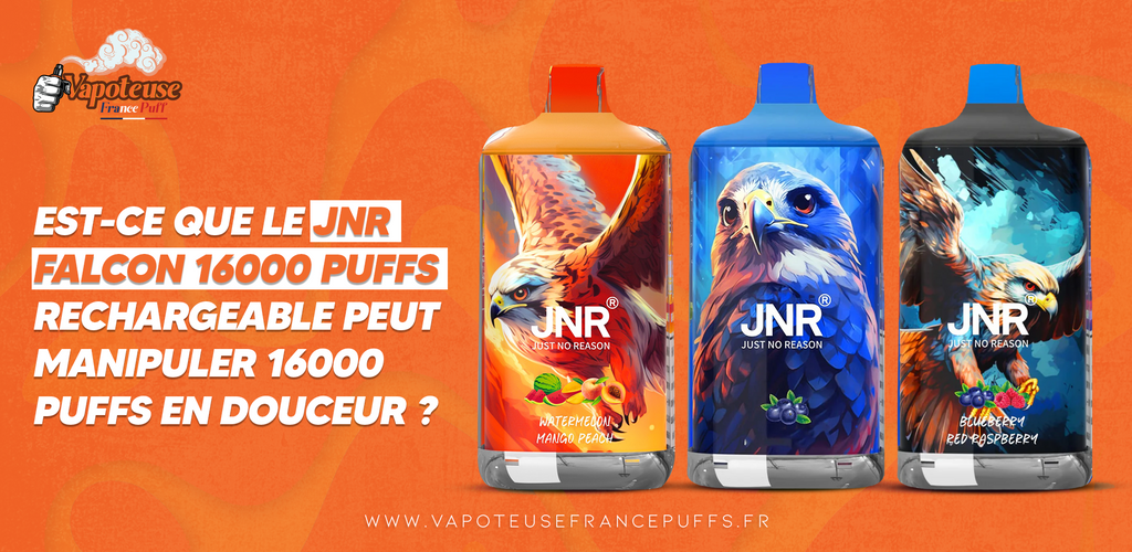 Est-ce que le JNR Falcon 16000 puffs rechargeable peut manipuler 16000 Puffs en douceur ?