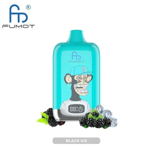 RAndM Digital Box 12000 Puffs - Black Ice