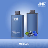 JNR Mega Box 25000 Puffs Jetable Vape