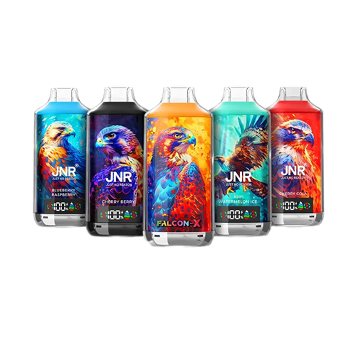 JNR Falcon X 18000 Puffs Jetable Vape (Boîte de 10)