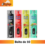 REndM Shisha 25000 Puffs (Boîte de 10)