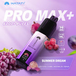 Hayat Pro Max+ 6000 Puffs Disposable Vape (Box of 10)