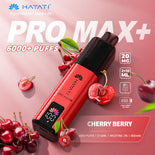 Hayat Pro Max+ 6000 Puffs Disposable Vape