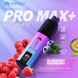 Hayat Pro Max+ 6000 Puffs Disposable Vape