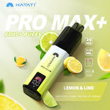 Hayat Pro Max+ 6000 Puffs Disposable Vape