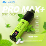 Hayat Pro Max+ 6000 Puffs Disposable Vape