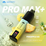 Hayat Pro Max+ 6000 Puffs Disposable Vape