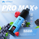 Hayat Pro Max+ 6000 Puffs Disposable Vape (Box of 10)