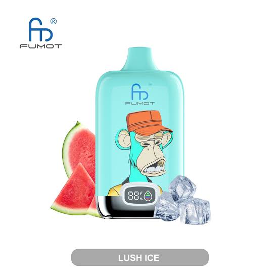 RAndM Digital Box 12000 Puffs - Lush Ice